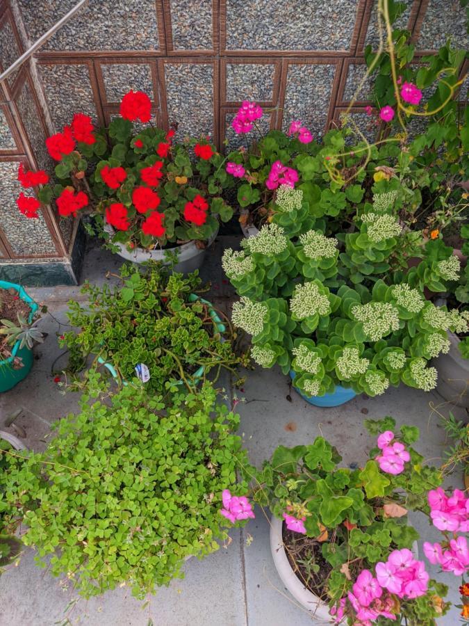 Summer Cottages มะนาลี ภายนอก รูปภาพ